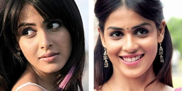 Answer this quiz questions on Genelia D'Souza