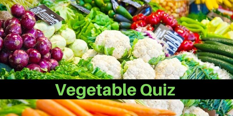 A vegetable related Quiz for vegetable lovers