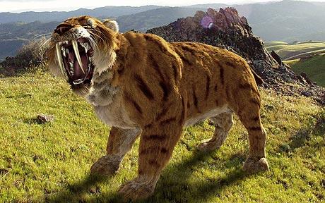 What is the name of this extinct animal?