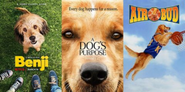 Can you guess the names of these movie dogs