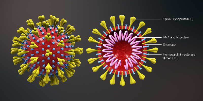 Take this quiz and see how well  know about COVID-19?