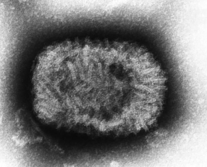 What is the name of this virus?