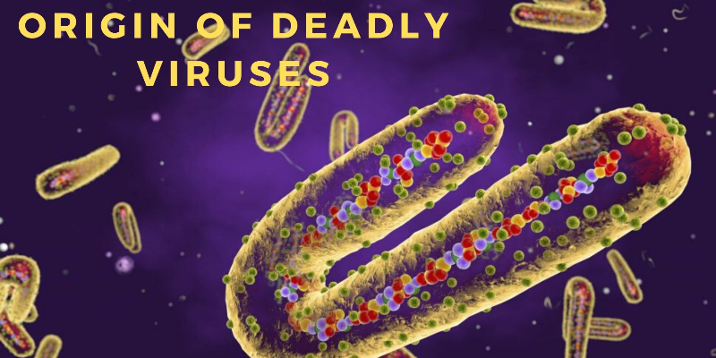 Take this quiz and see the origin of deadly viruses across the world?