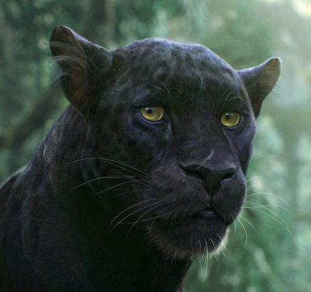Which actor voiced the character Bagheera