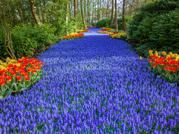 What is the name of this beautiful garden located in Netherlands?