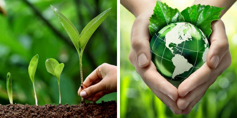 How much do you know about the World Environment Day