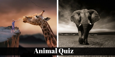 Check out your superlative knowledge regarding animal