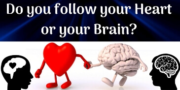 Do you follow your heart or your brain?
